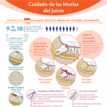 Spanish Wisdom Teeth Management Infographic PDF (Cuidado de las Muelas del Juicio)