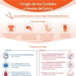 Spanish Wisdom Teeth Surgery Infographic PDF (Cirugía de los Cordales o Muelas del Juicio)